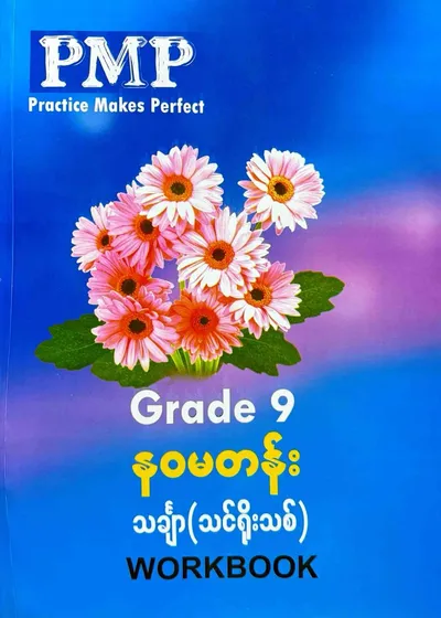 PMP Grade 9 Math workbook 
