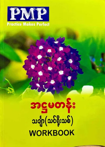 PMP Grade 8 math workbook 