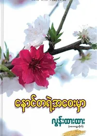 နောင်တရဲ့ အဝေးမှာ - လွန်းထားထား (ဆေးတက္ကသိုလ်)