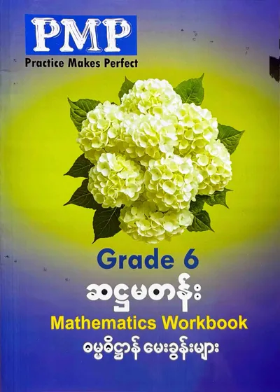 PMP Grade 6 mathematics workbook 